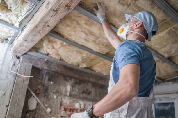 Best Spray Foam Insulation  in Alafaya, FL