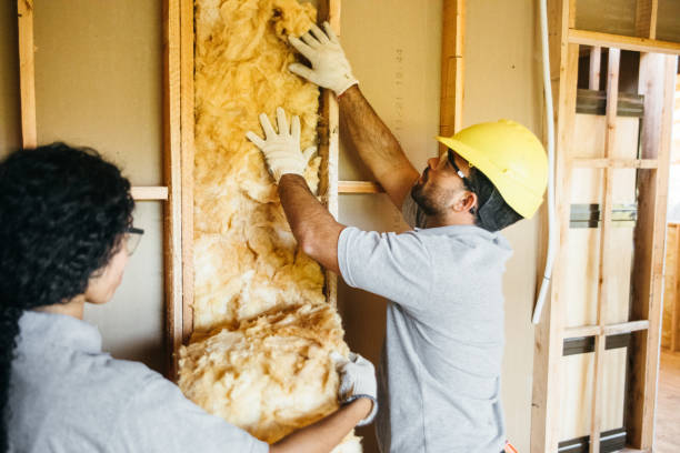 Best Attic Insulation Installation  in Alafaya, FL