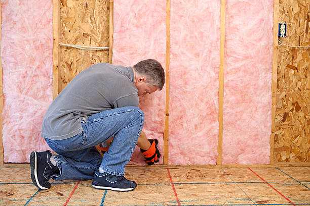 Types of Insulation We Offer in Alafaya, FL