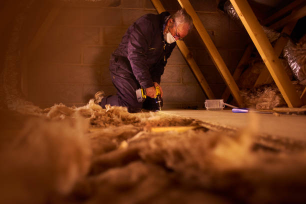 Best Attic Insulation Installation  in Alafaya, FL